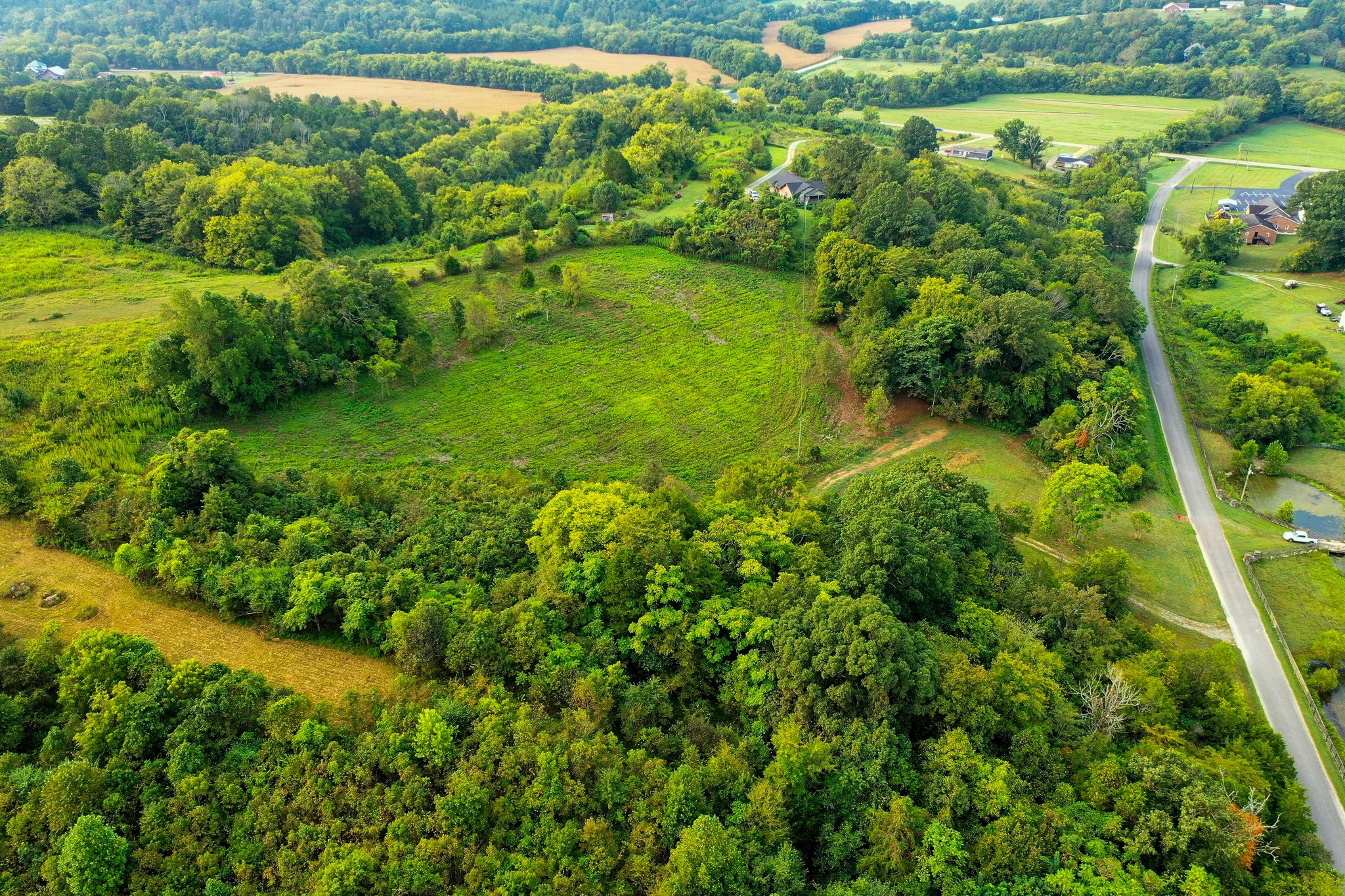 2523 Baptist Church Road Culleoka, TN 38451 - Photo 7 of 15 a view of a garden with a lake