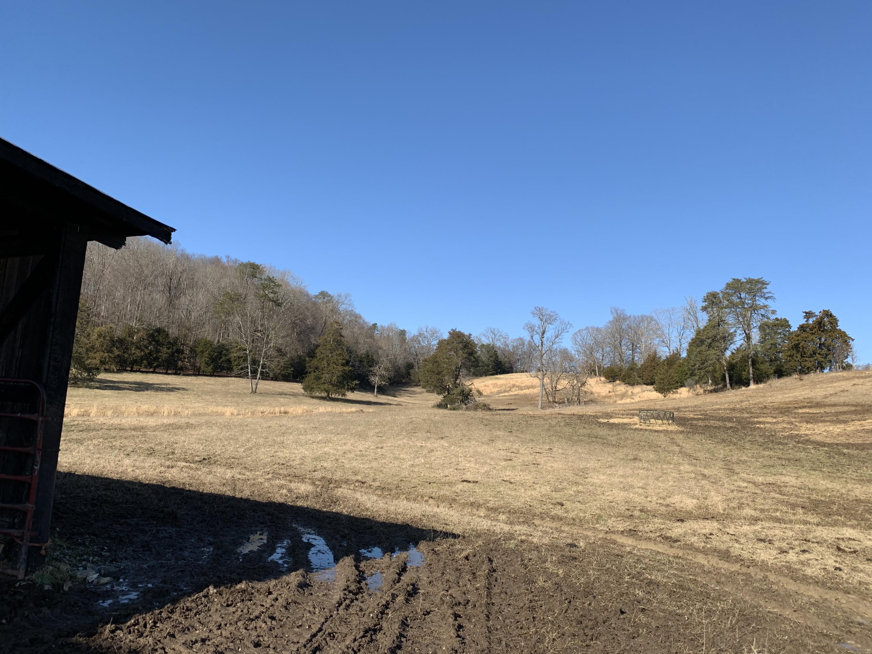 Indian Ridge Rd Road Blaine, TN 37709 - Photo 17 of 19 Photo Jan 13, 1 48 42 PM