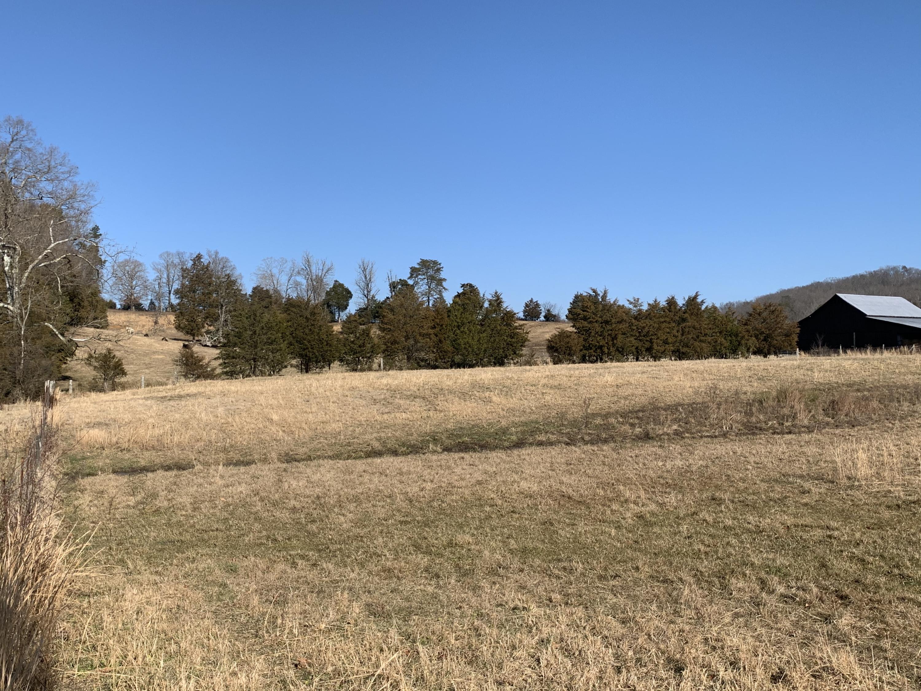 Indian Ridge Rd Road Blaine, TN 37709 - Photo 3 of 19 Photo Jan 13, 1 36 54 PM