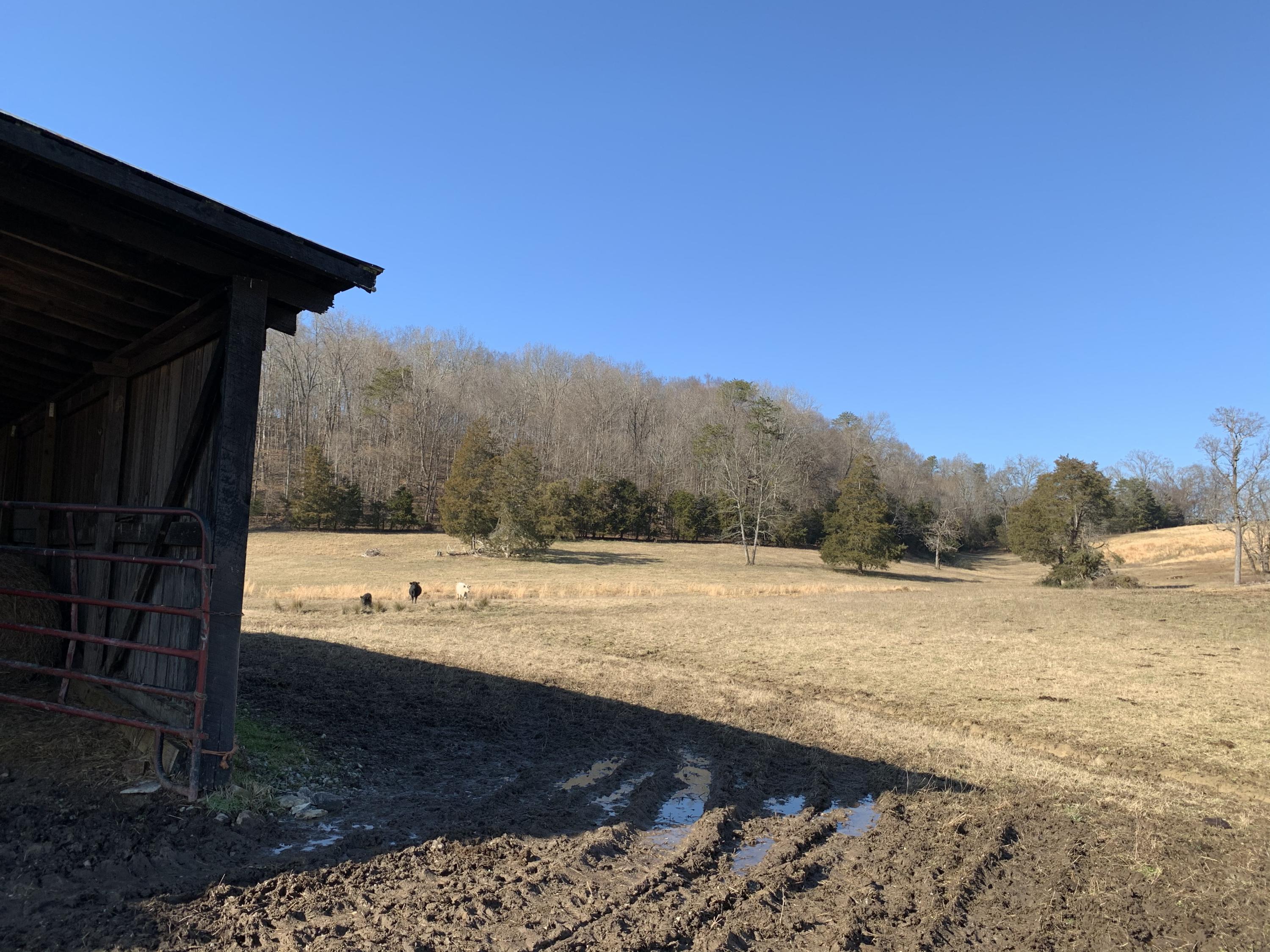 Indian Ridge Rd Road Blaine, TN 37709 - Photo 4 of 19 Photo Jan 13, 1 48 48 PM