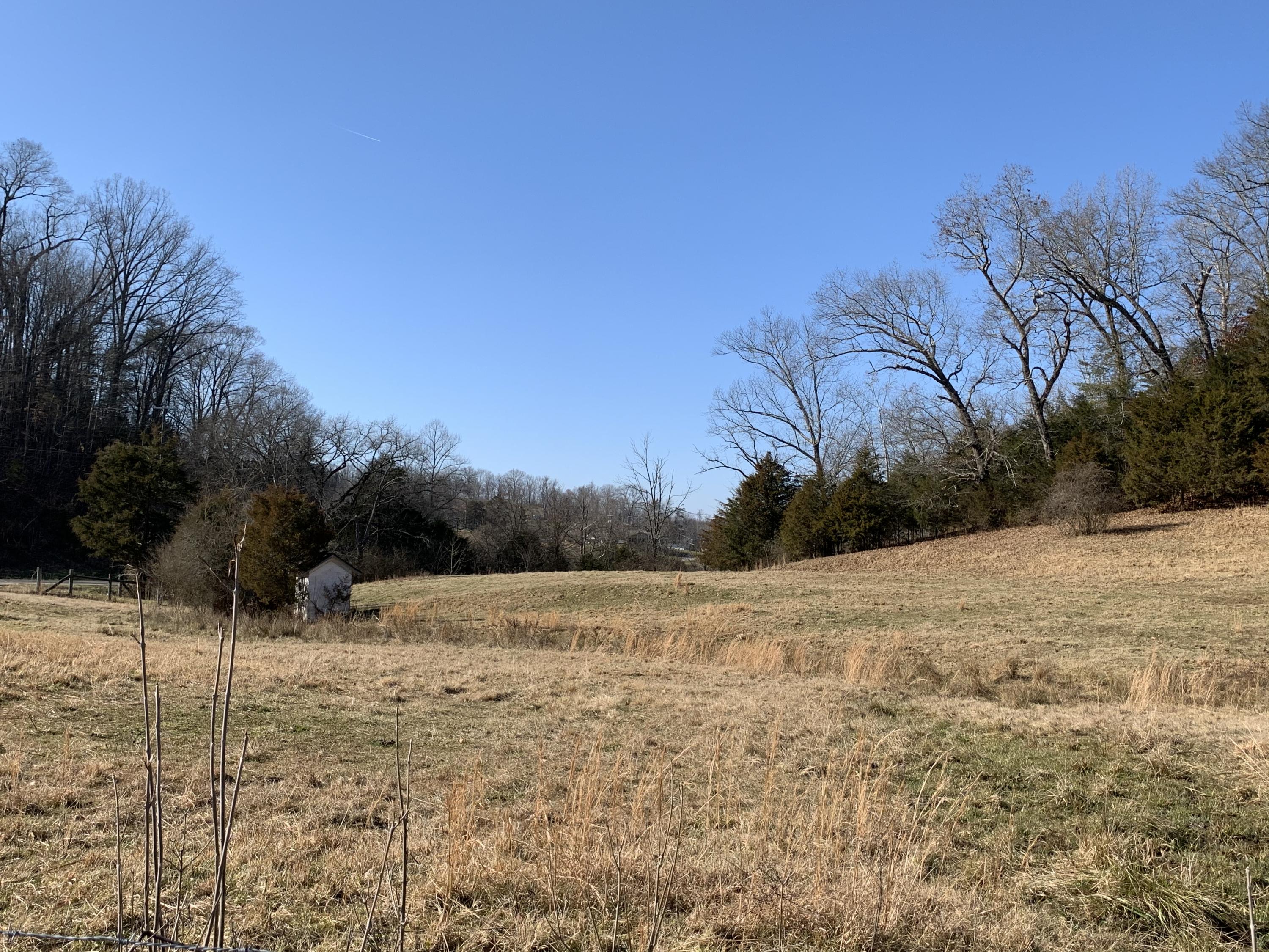 Indian Ridge Rd Road Blaine, TN 37709 - Photo 5 of 19 Photo Jan 13, 1 37 29 PM