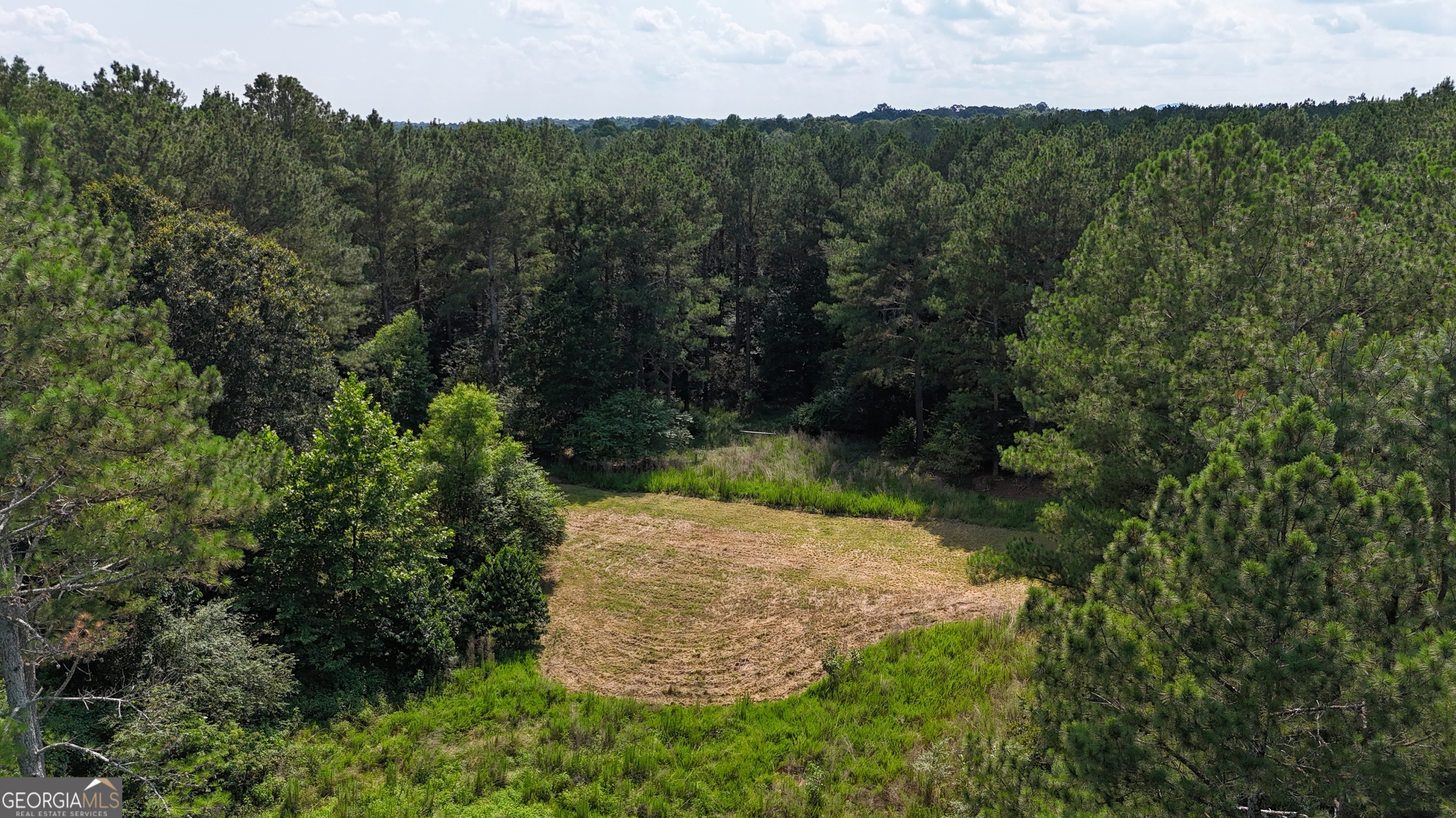 3729 Duncan Bridge Road Southwest Cornelia, GA 30531 - Photo 53 of 63