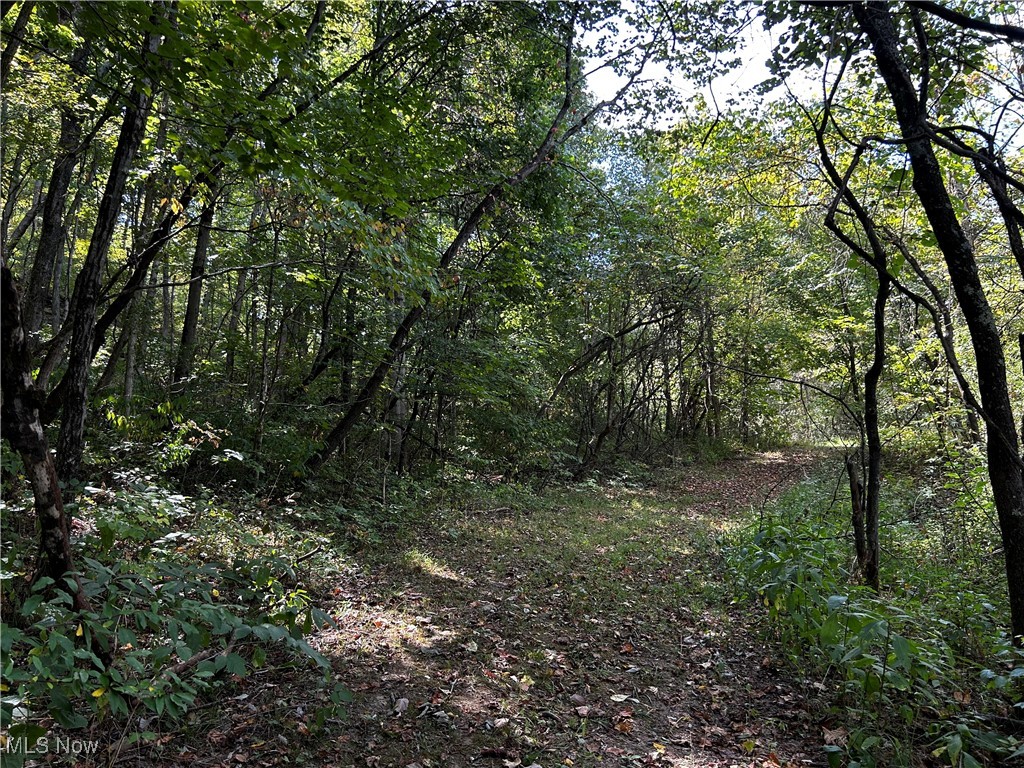7250 Old Grade Road Chesterhill, OH 43728 - Photo 10 of 15 View of landscape