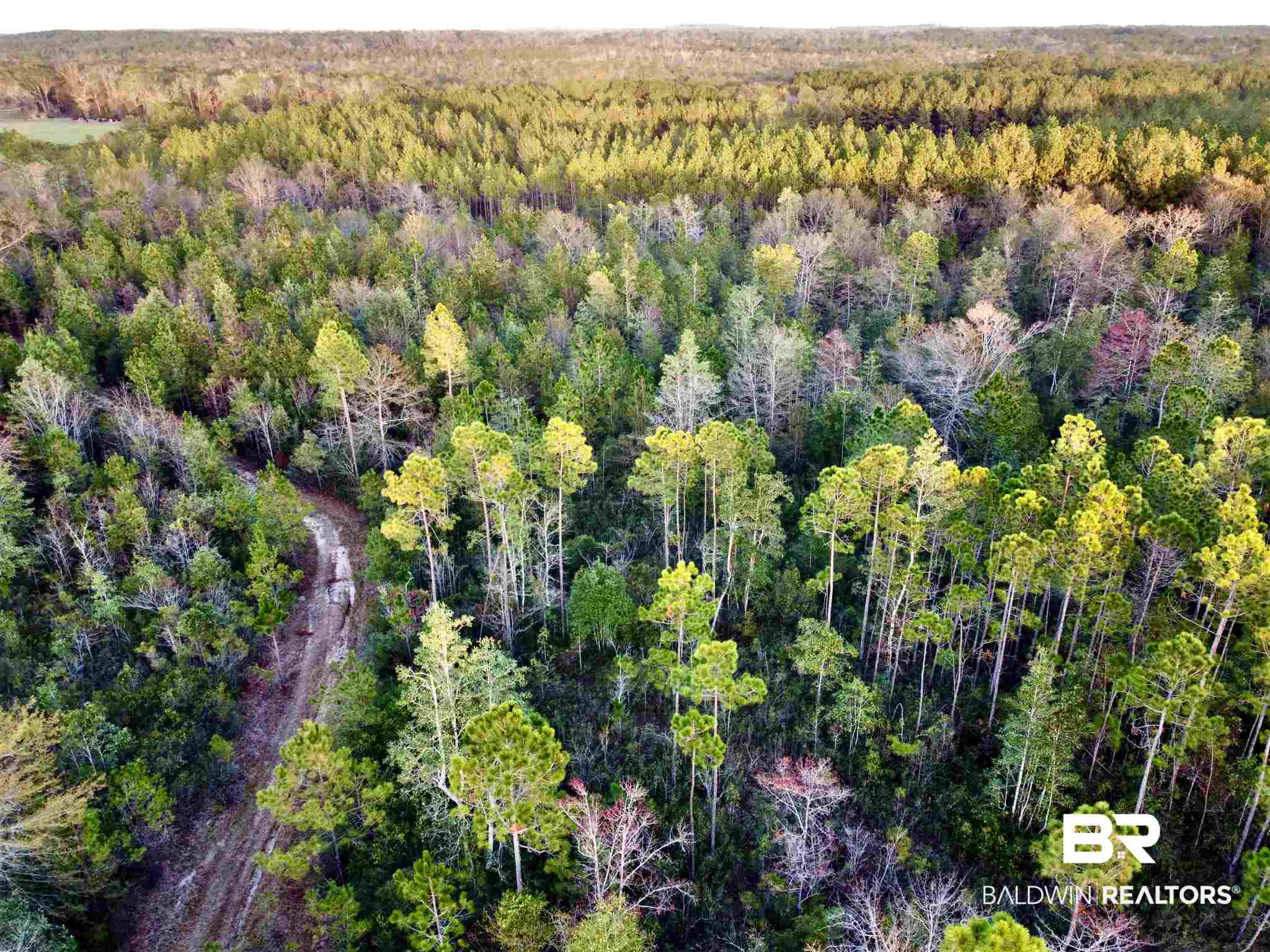 0 Country Road Fruitdale, AL 36539 - Photo 15 of 47