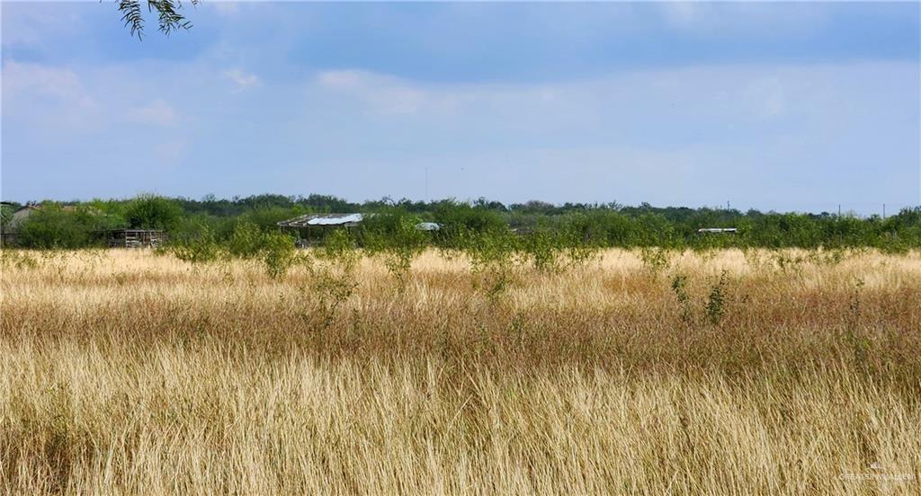 3525 South River Road Donna, TX 78537 - Photo 5 of 6 View of mother earth's splendor with a rural view