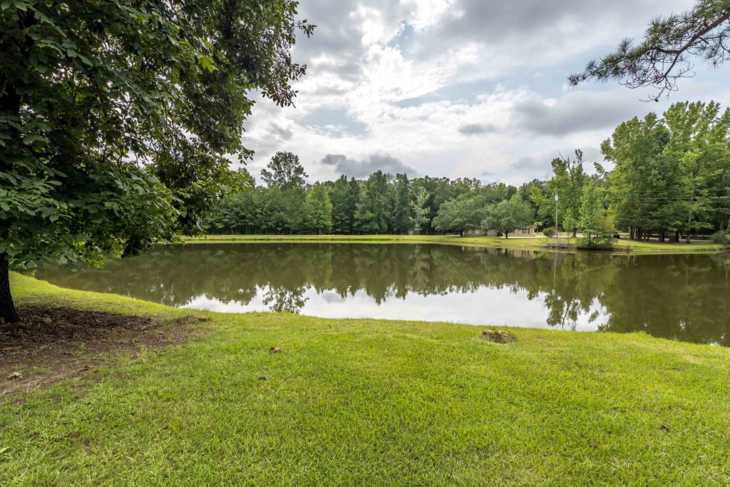 7720 Cartledge Road Box Springs, GA 31801 - Photo 25 of 26 Gallery Image 25