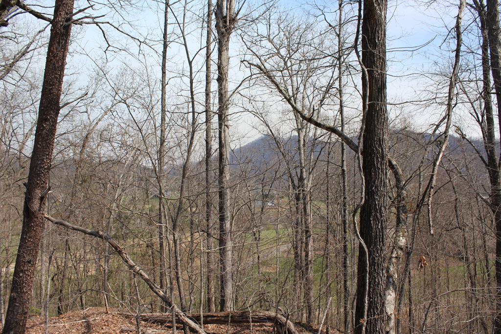 Lot 83 Licklog Ridge Hayesville, NC 28904 - Photo 1 of 6 a backyard of a house with lots of green space