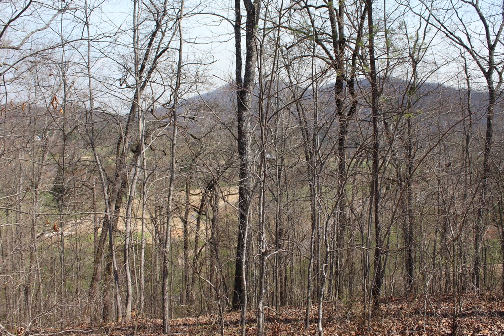 Lot 83 Licklog Ridge Hayesville, NC 28904 - Photo 4 of 6 a view of forest