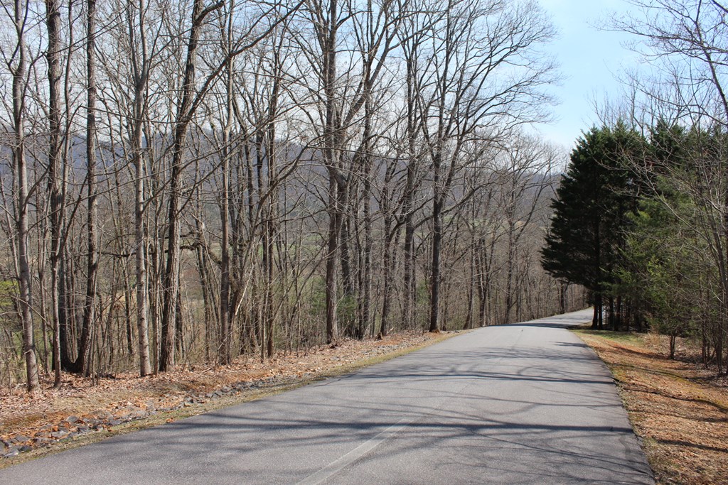 Lot 83 Licklog Ridge Hayesville, NC 28904 - Photo 6 of 6 a view of a backyard of the house