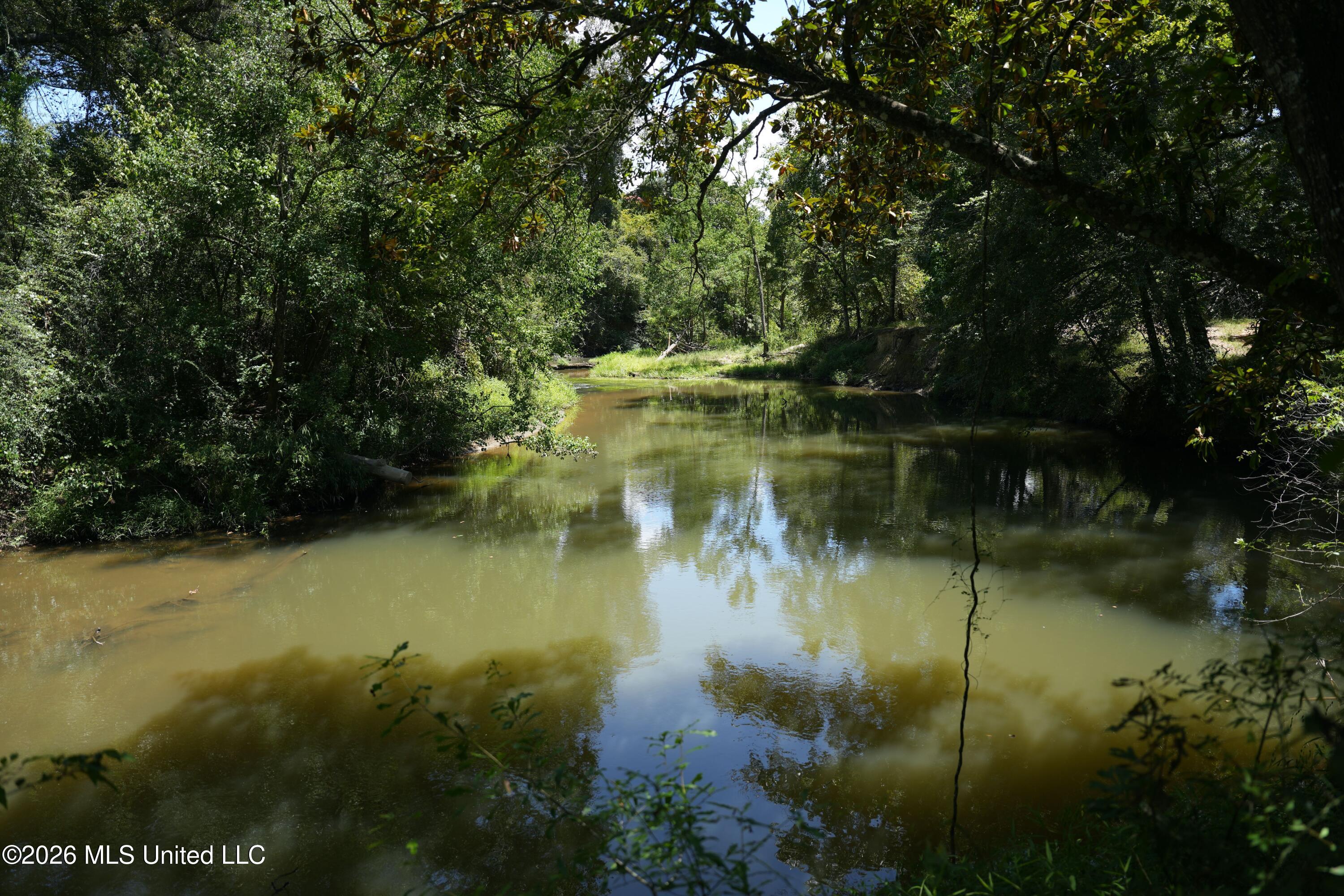 Xxxx Hamp Lea Road Magnolia, MS 39652 - Photo 27 of 48 DSC04097
