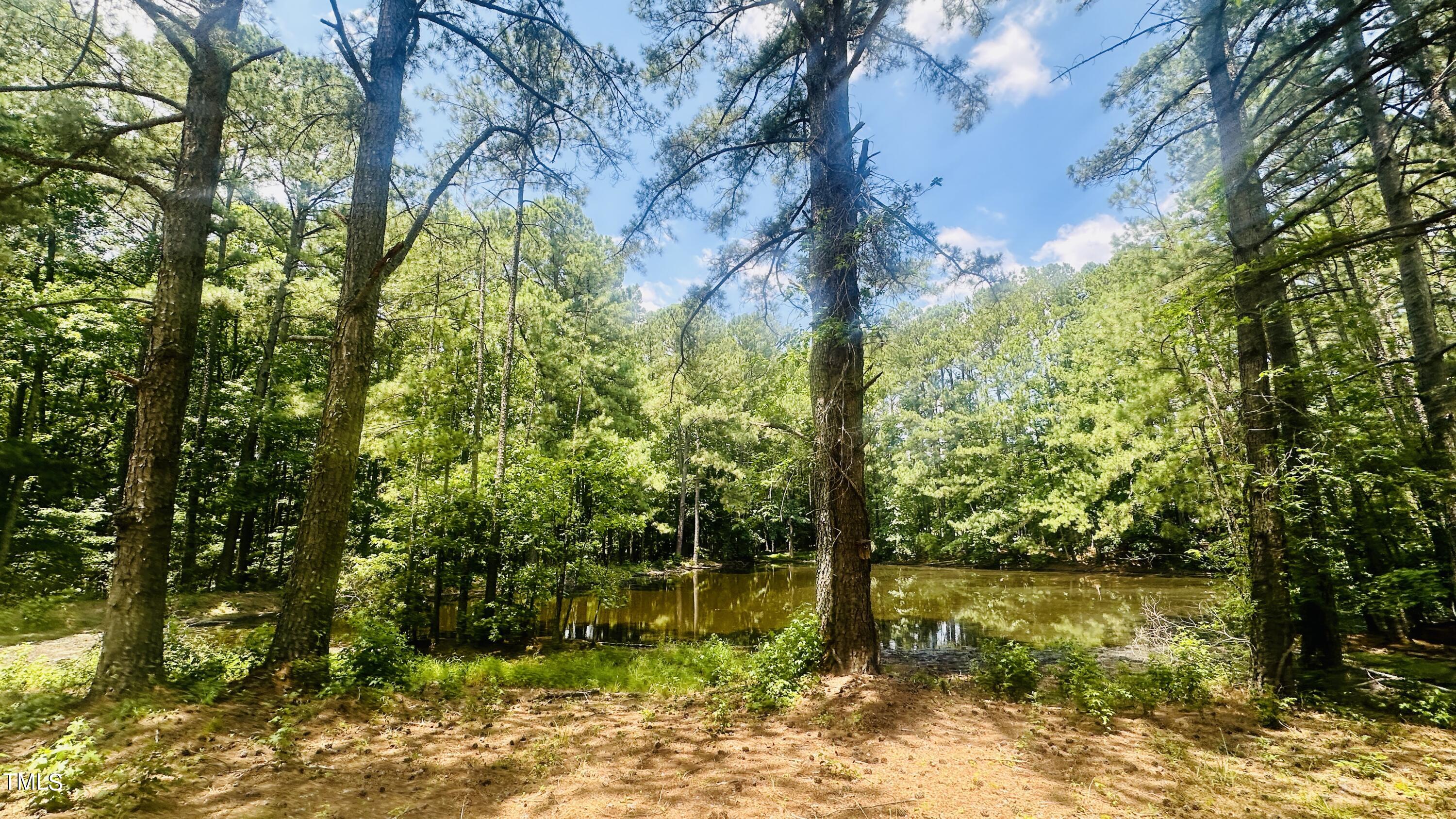 1759 Luther Road Apex, NC 27523 - Photo 4 of 12 IMG_2991