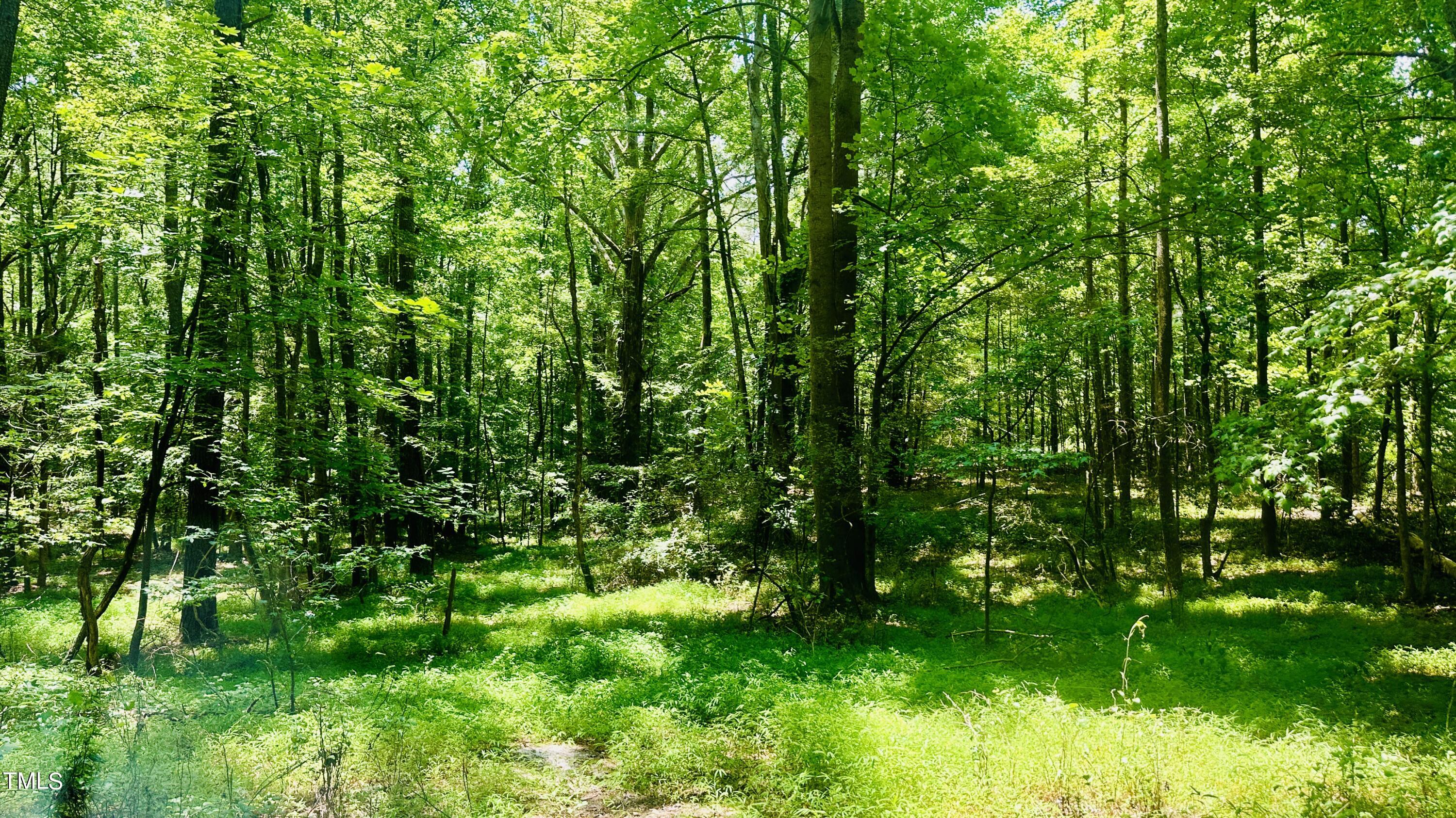 1759 Luther Road Apex, NC 27523 - Photo 5 of 12 IMG_3024