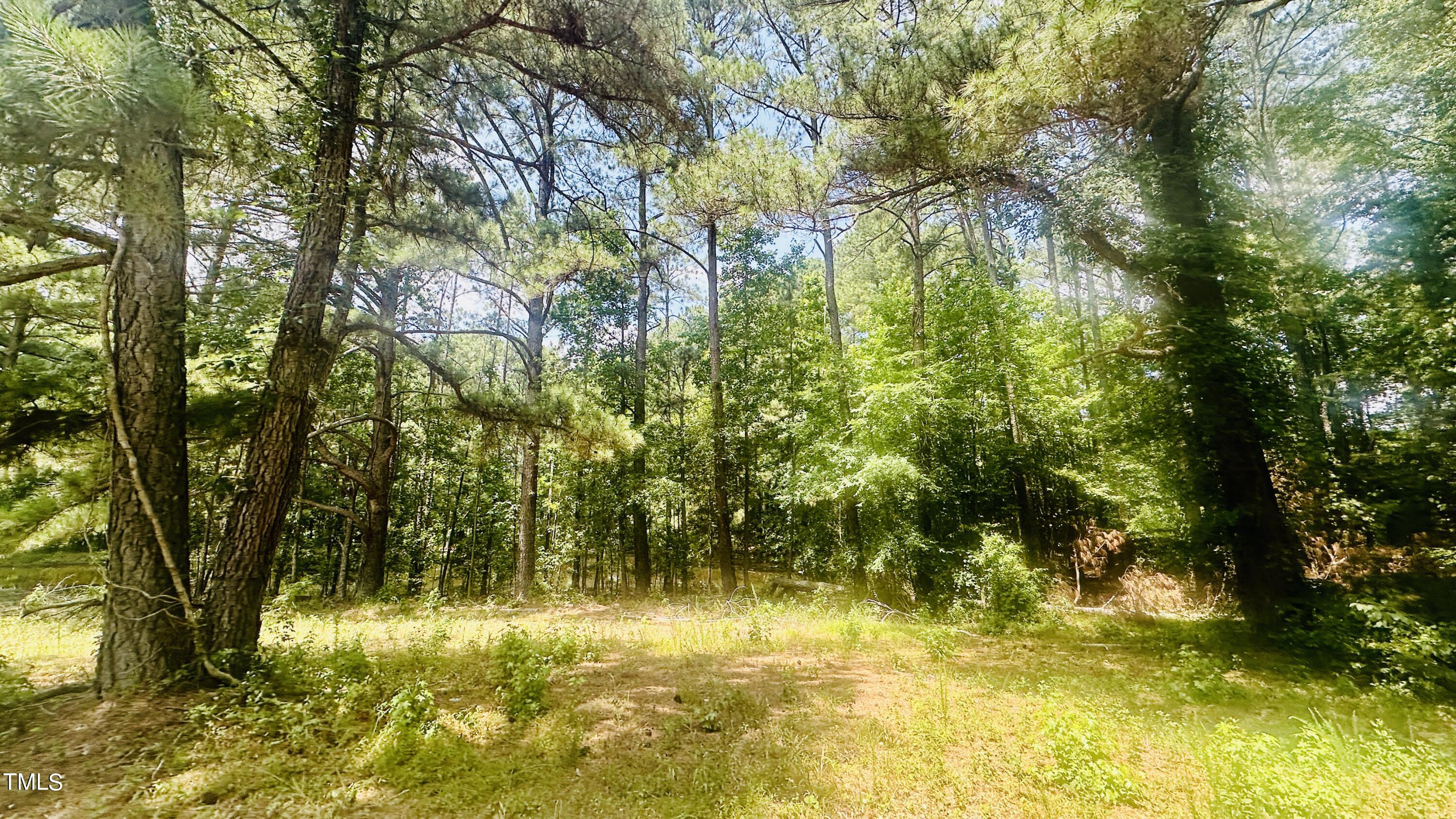 1759 Luther Road Apex, NC 27523 - Photo 6 of 12 IMG_2988