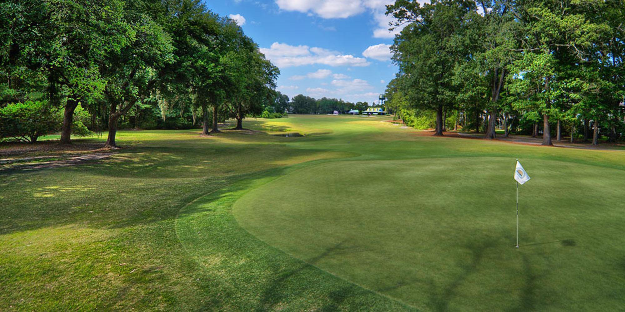 149 Boots Branch Road Summerville, SC 29485 - Photo 35 of 40 Golf Course Pic