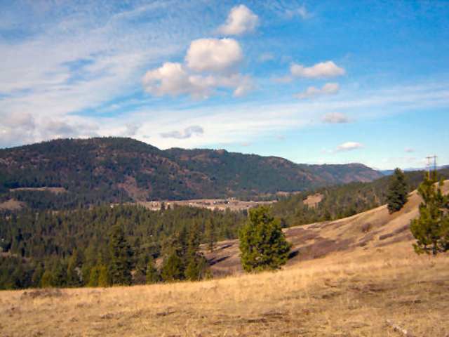 Lot 1-2 Ridgetop Way Colville, WA 99114 - Photo 2 of 4