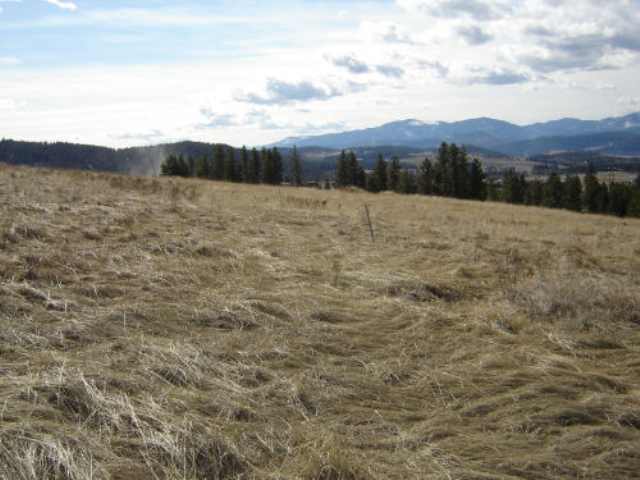 Lot 1-2 Ridgetop Way Colville, WA 99114 - Photo 3 of 4