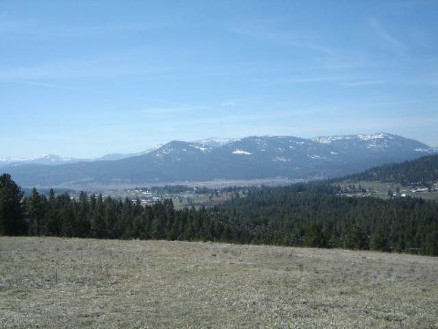 Lot 1-2 Ridgetop Way Colville, WA 99114 - Photo 4 of 4