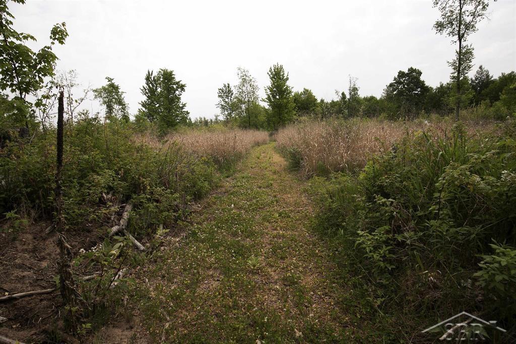 66-acres North Geneva Road Coleman, MI 48618 - Photo 28 of 44 Gallery Image 28