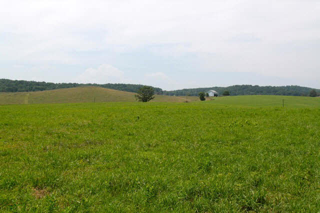 637 Moffett Branch Road Churchville, VA 24421 - Photo 4 of 9 Gallery Image 4