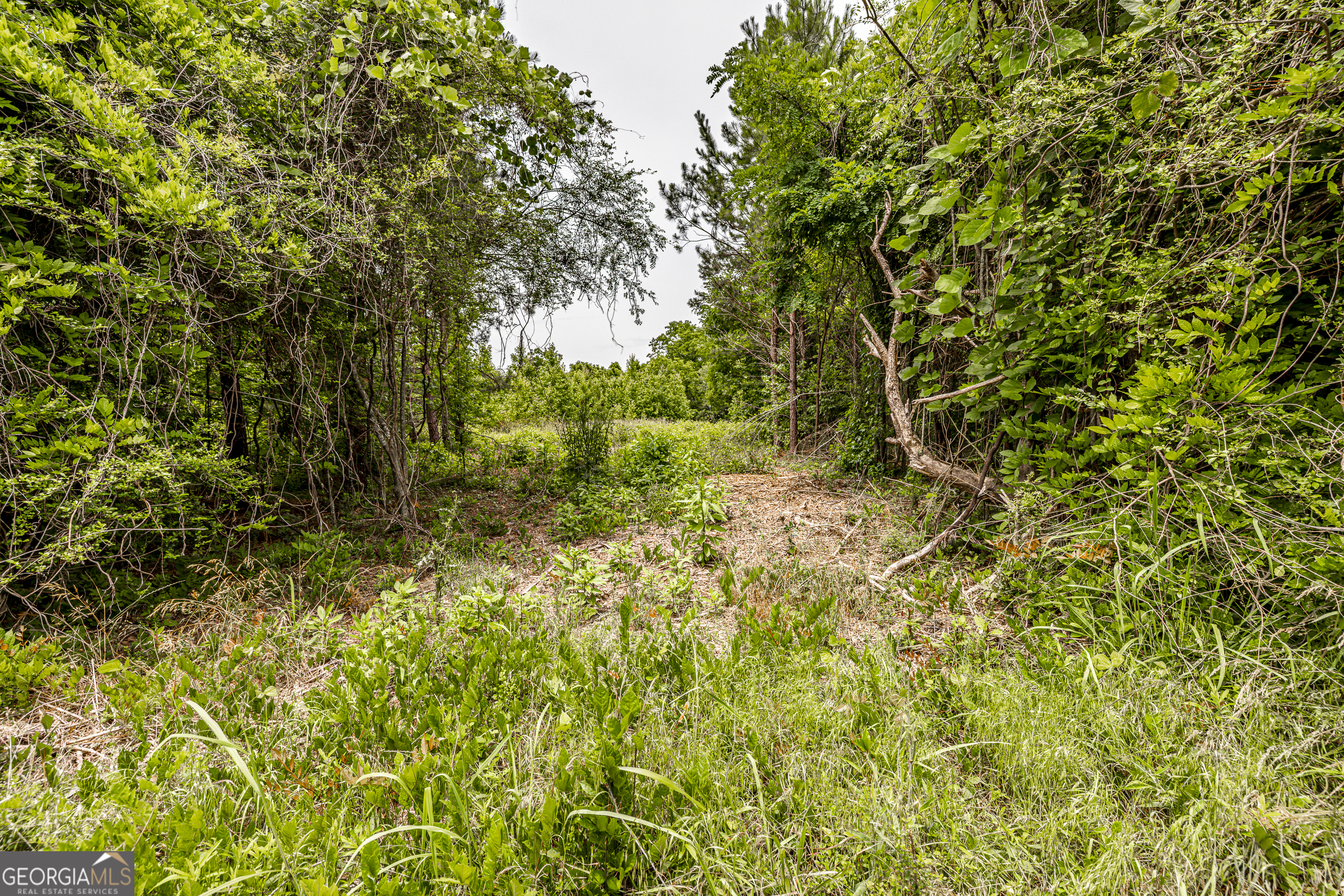 0 Washington Highway Union Point, GA 30669 - Photo 12 of 22