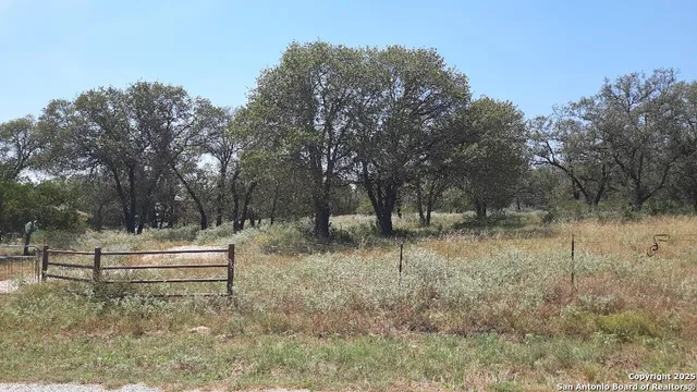 a backyard of a house with trees and wooden fence