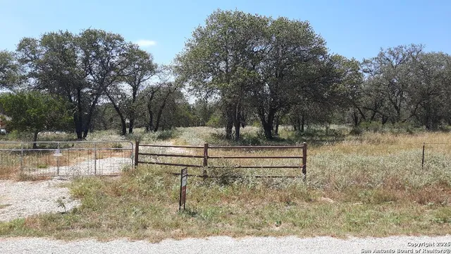 a view of backyard with large trees