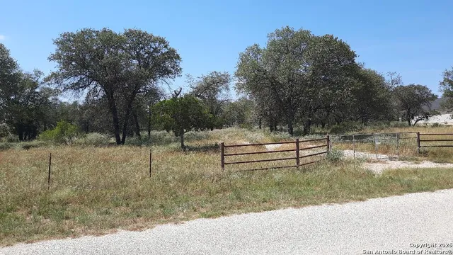 a view of park with trees
