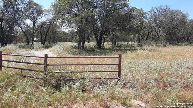 a view of backyard of the house