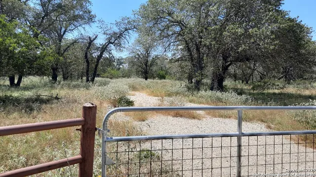 a view of a yard from a window