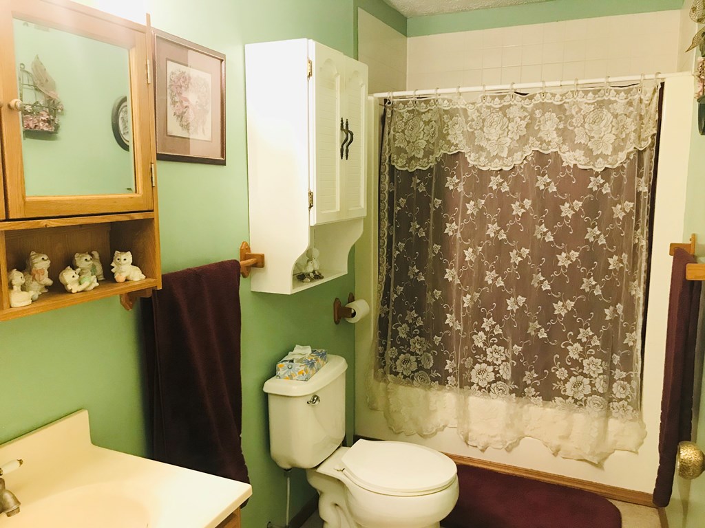 14 Mountain View Road East Bath, NY 14810 - Photo 16 of 26 Gallery Image 16