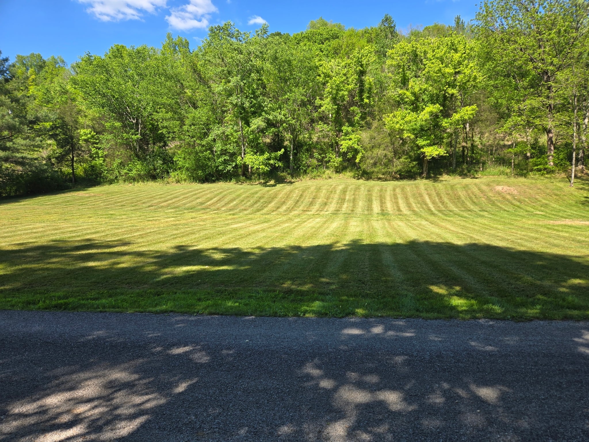 0 Dog Branch Road South Pleasant Shade, TN 37145 - Photo 3 of 5
