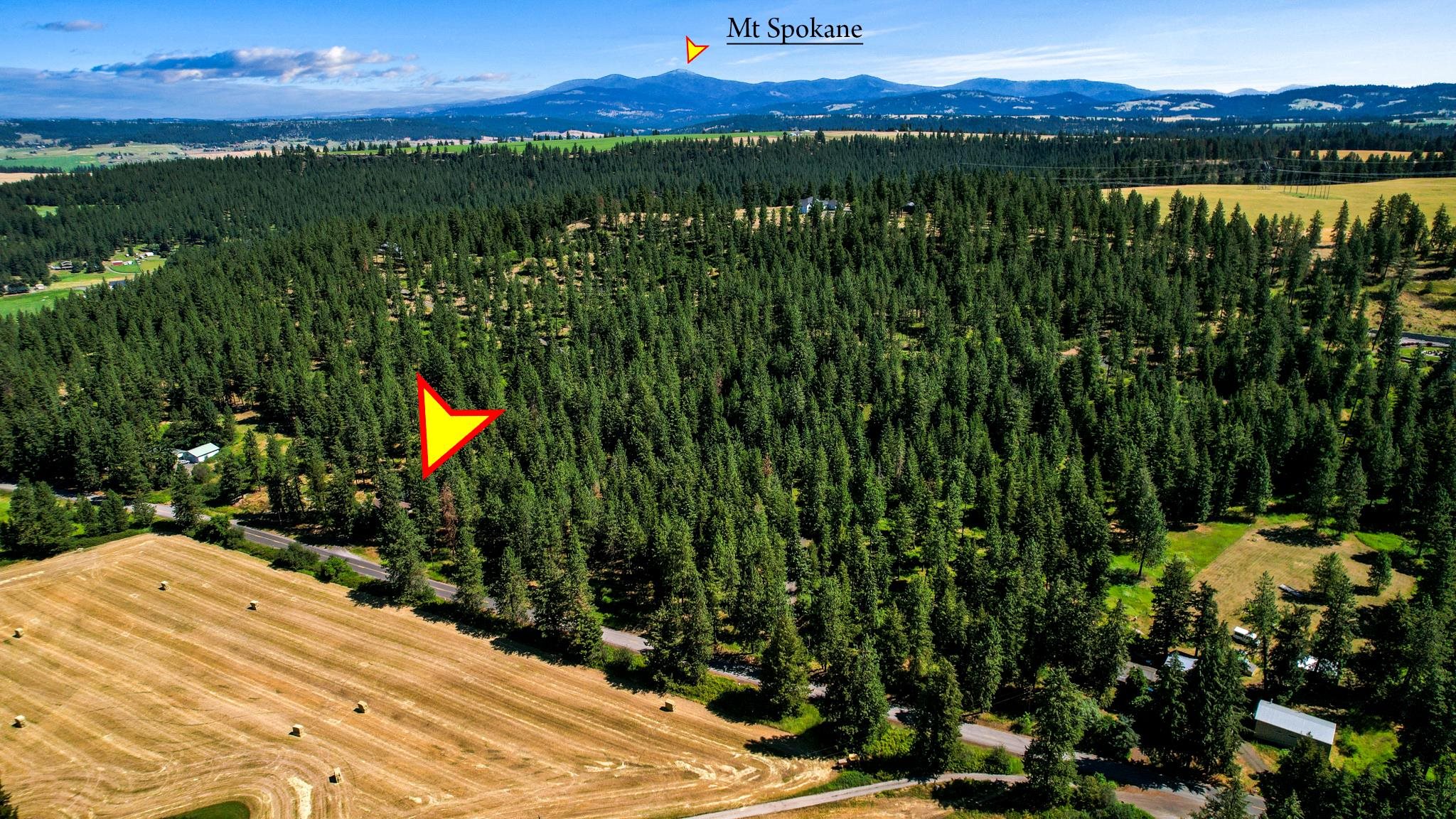 9018 North Bruce Road Spokane, WA 99217 - Photo 4 of 43