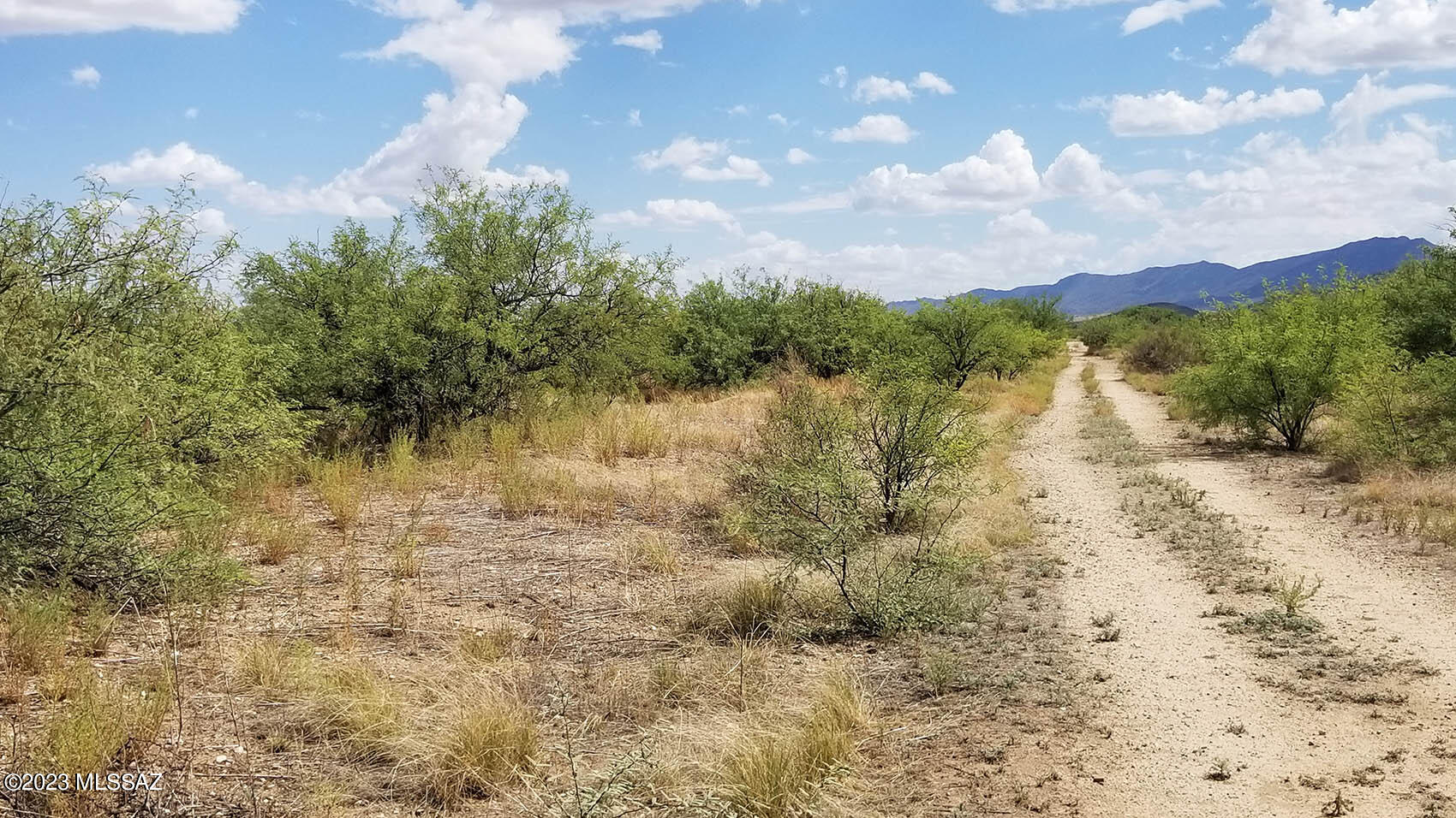 1-lot West Birch Road, Unit 8 Cochise, AZ 85606 - Photo 6 of 11