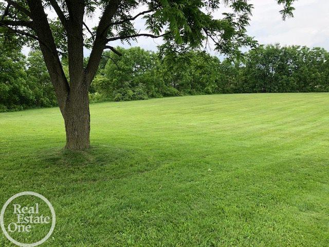 19655 21 Mile Road Macomb, MI 48044 - Photo 7 of 28 31384379-6.JPG