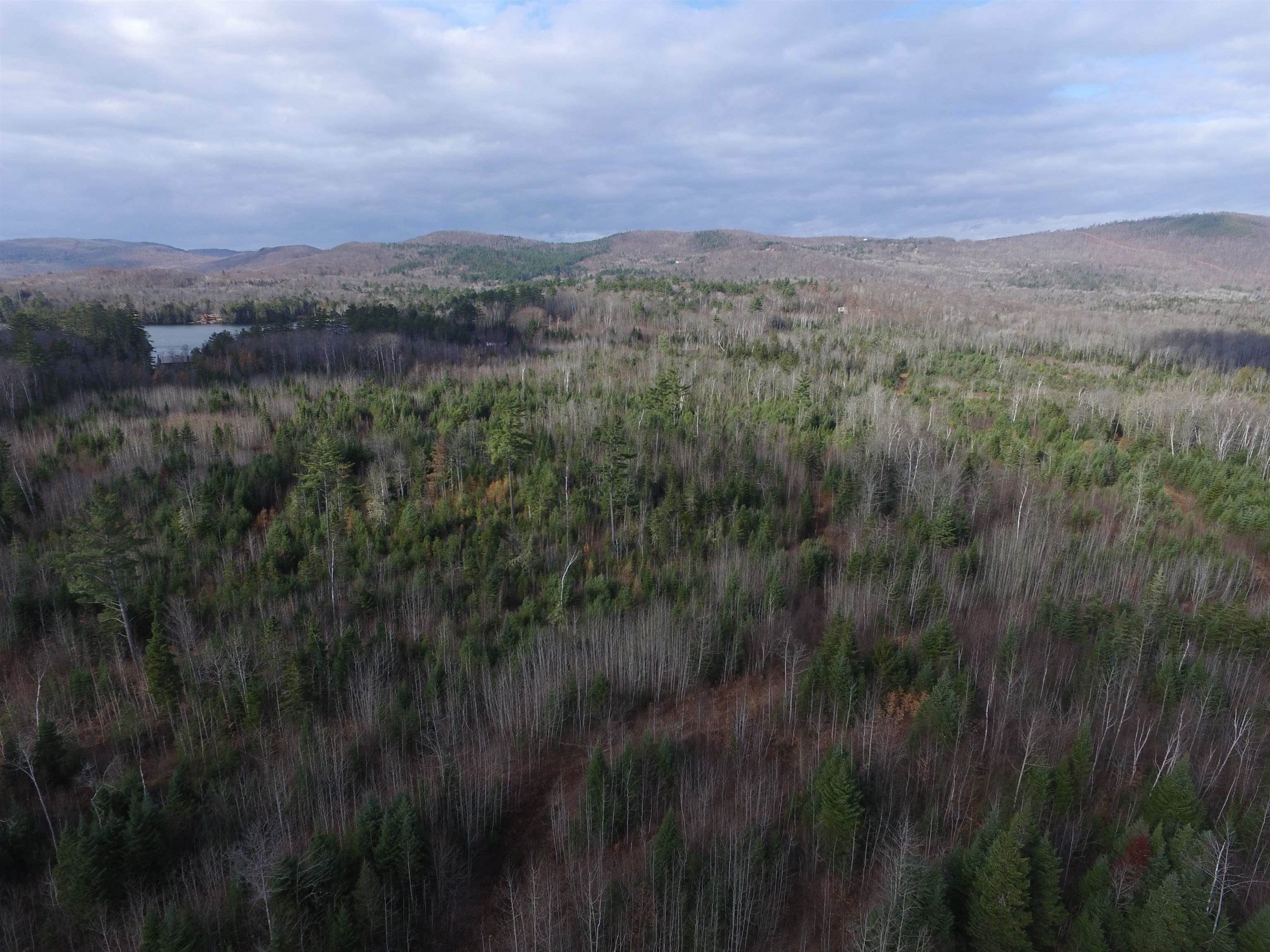 0 Forest Lake Road Whitefield, NH 03598 - Photo 11 of 16