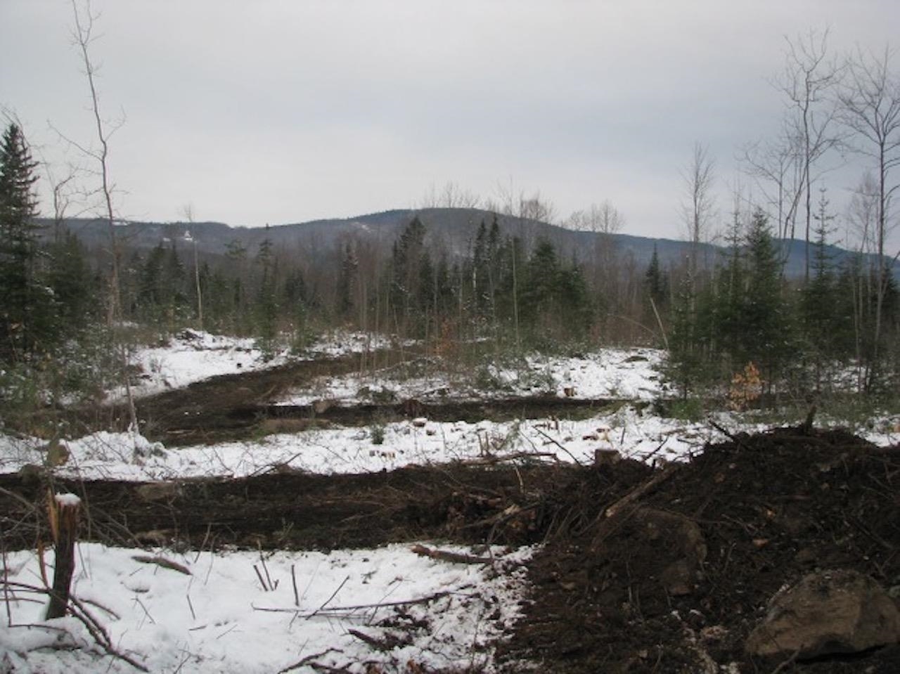 0 Forest Lake Road Whitefield, NH 03598 - Photo 4 of 16