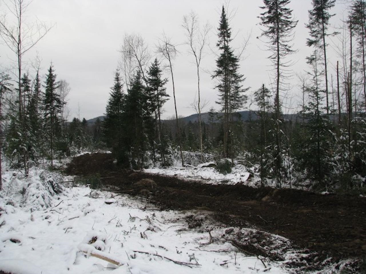 0 Forest Lake Road Whitefield, NH 03598 - Photo 6 of 16