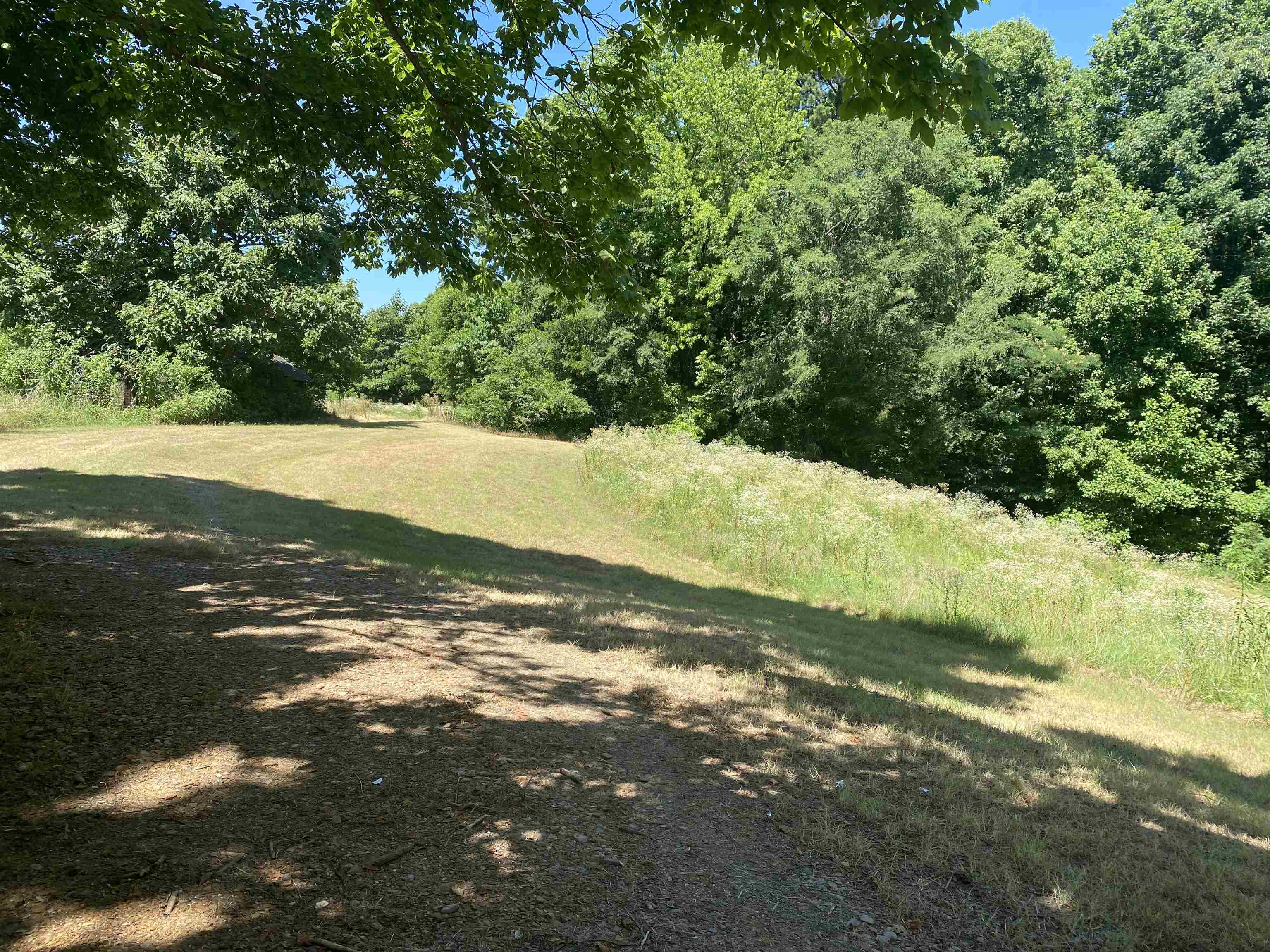 851 Bringle Road Covington, TN 38019 - Photo 12 of 25 Gallery Image 12