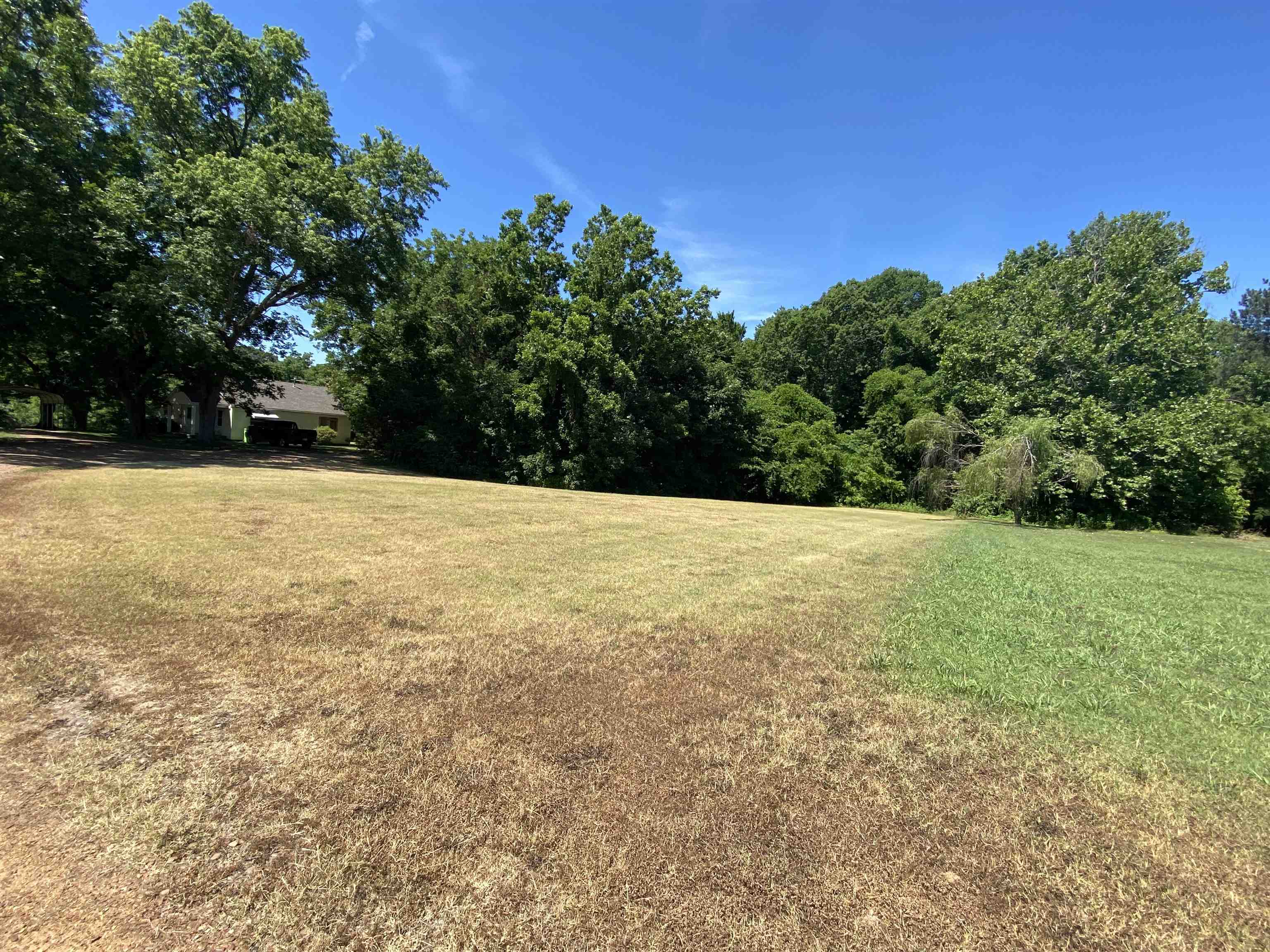 851 Bringle Road Covington, TN 38019 - Photo 14 of 25 Gallery Image 14