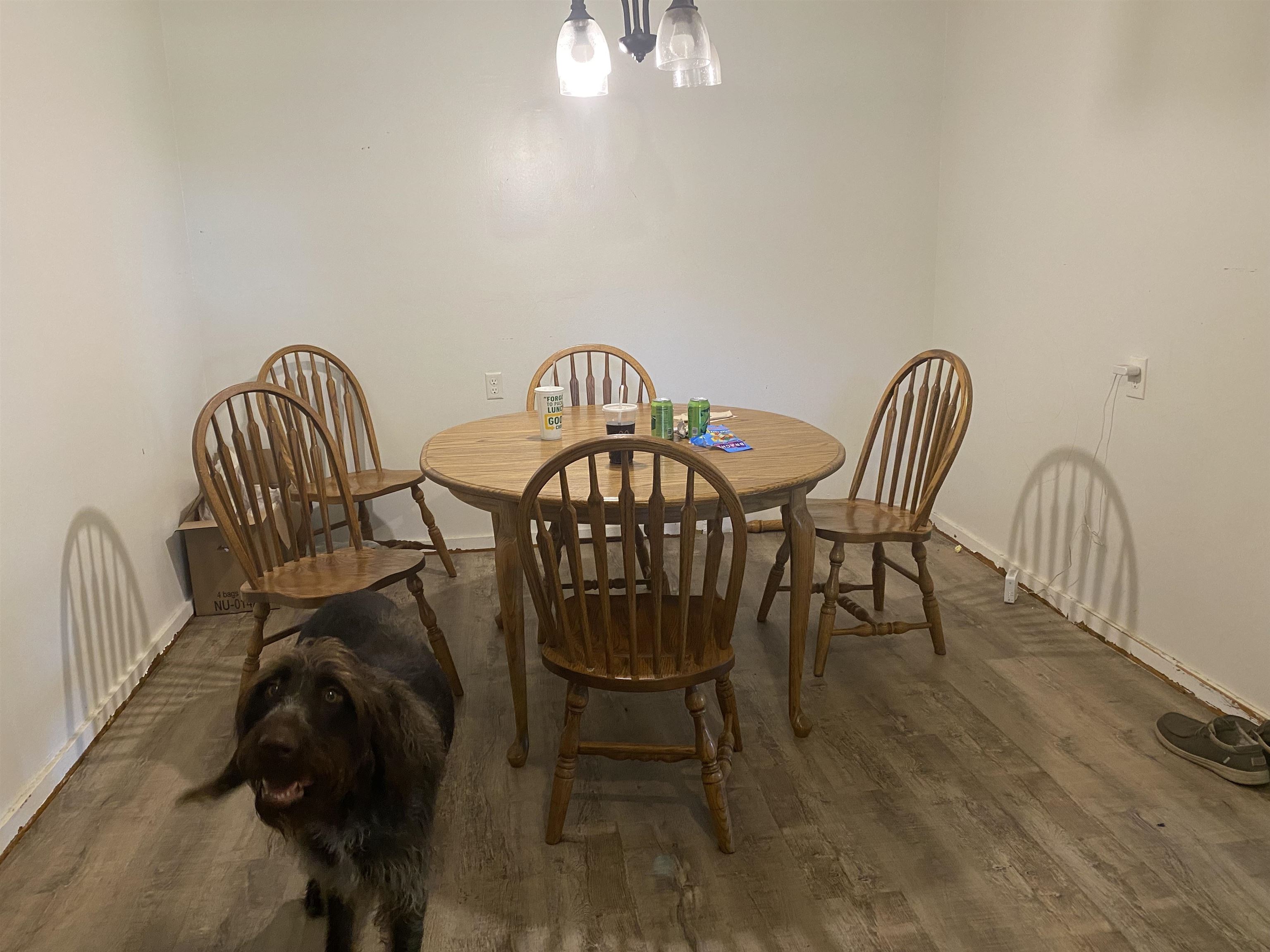 851 Bringle Road Covington, TN 38019 - Photo 20 of 25 Gallery Image 20