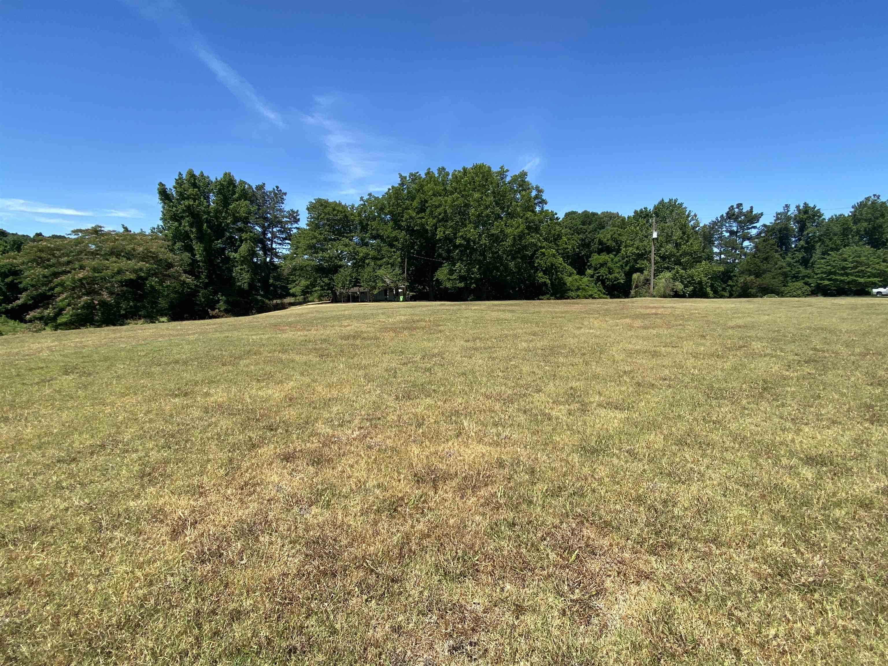 851 Bringle Road Covington, TN 38019 - Photo 8 of 25 Gallery Image 8
