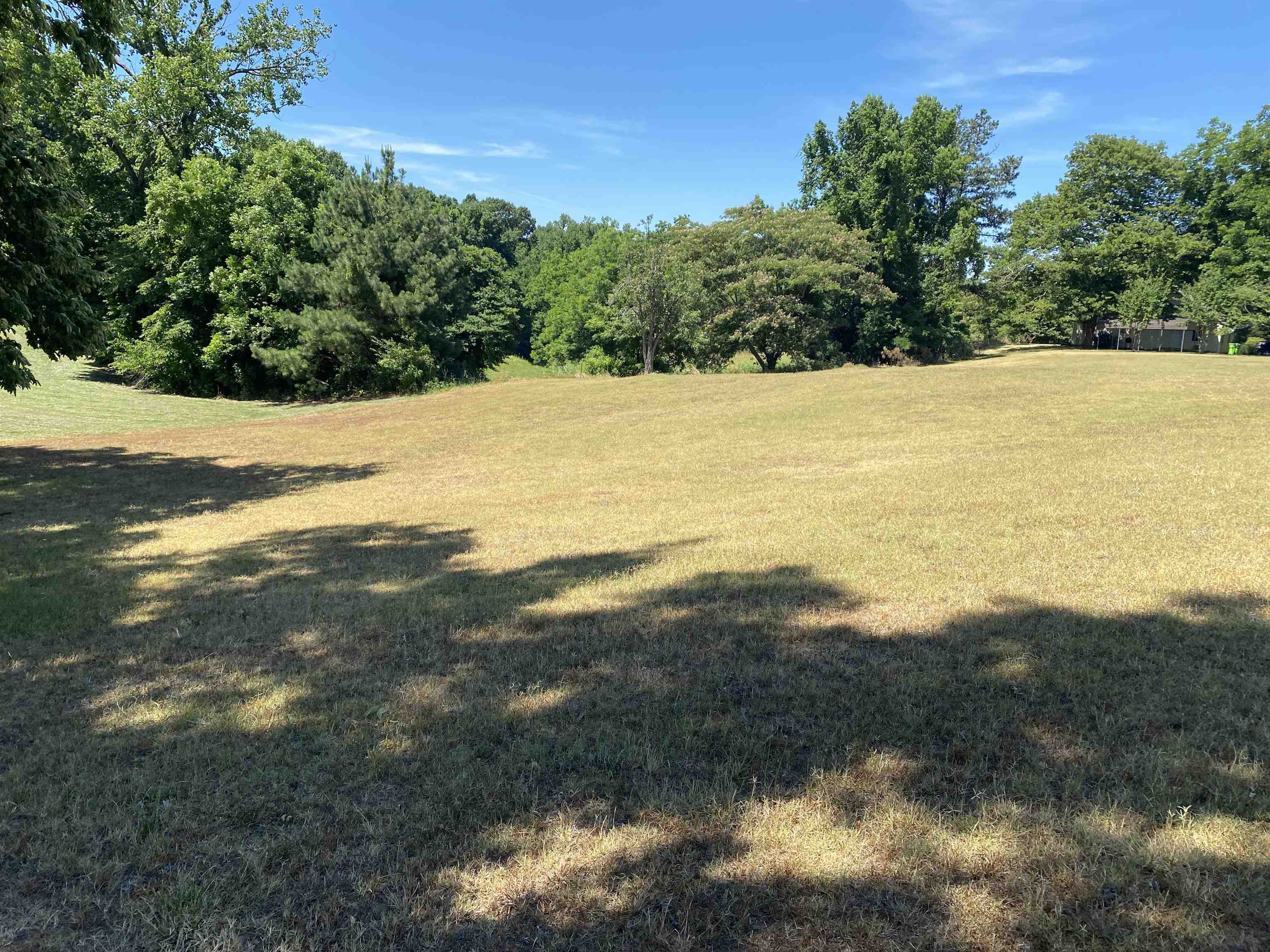851 Bringle Road Covington, TN 38019 - Photo 10 of 25 Gallery Image 10