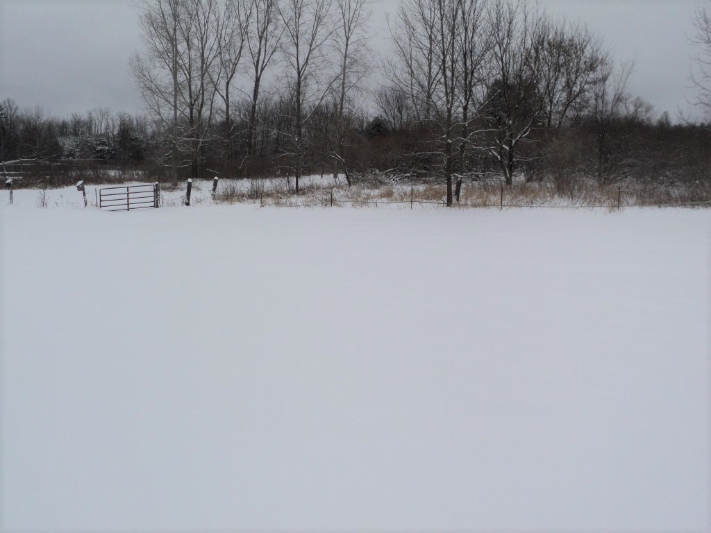 2865 South Derby Road Sidney, MI 48885 - Photo 22 of 23 1841374-21.JPG