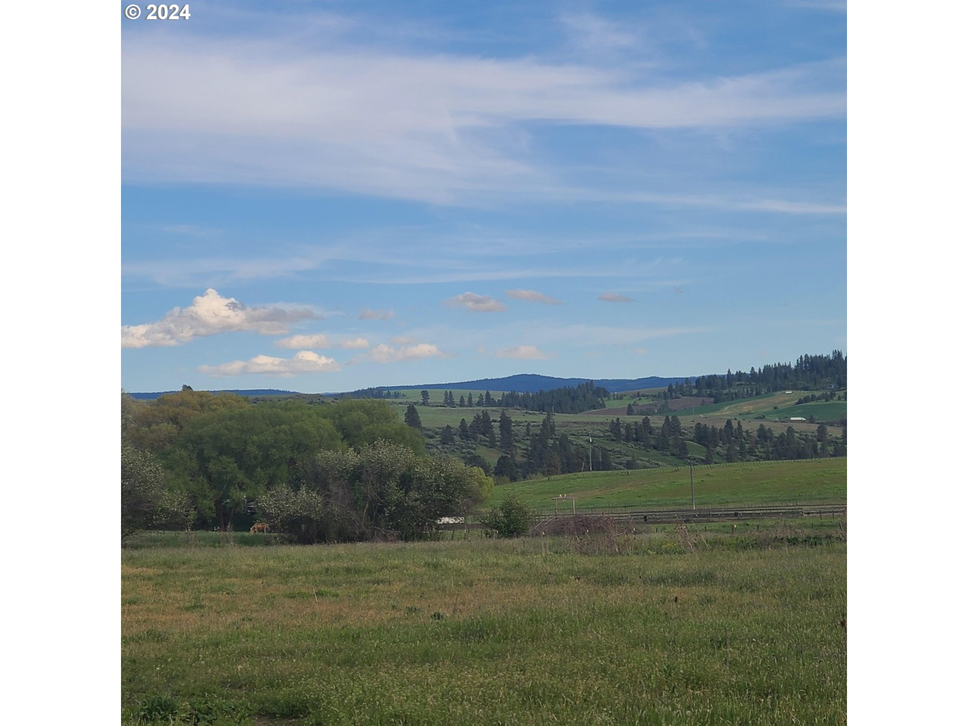 71662 Gordon Creek Road Elgin, OR 97827 - Photo 44 of 46 Gallery Image 44