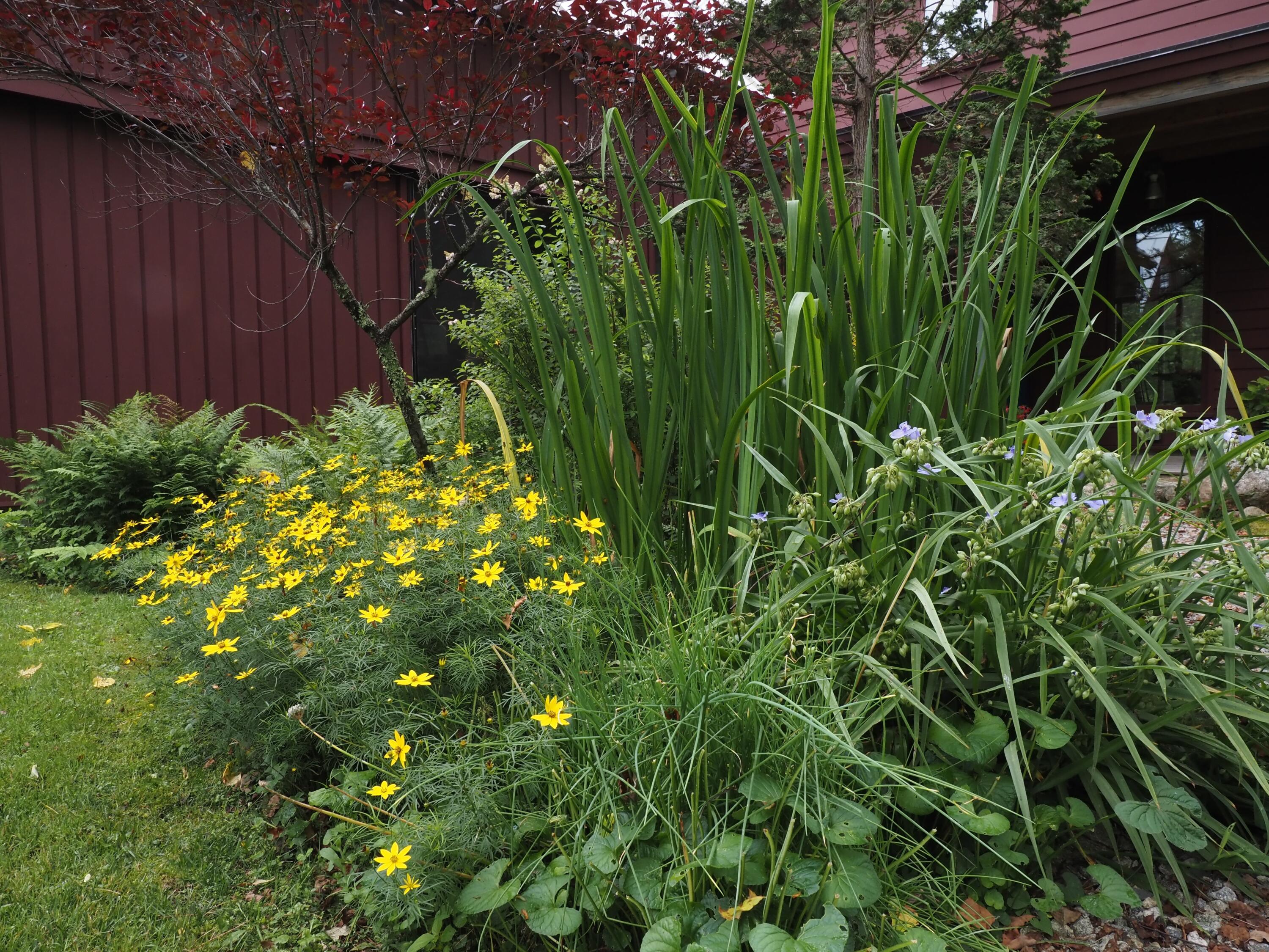 348 Bald Head Road Arrowsic, ME 04530 - Photo 63 of 74 flowers