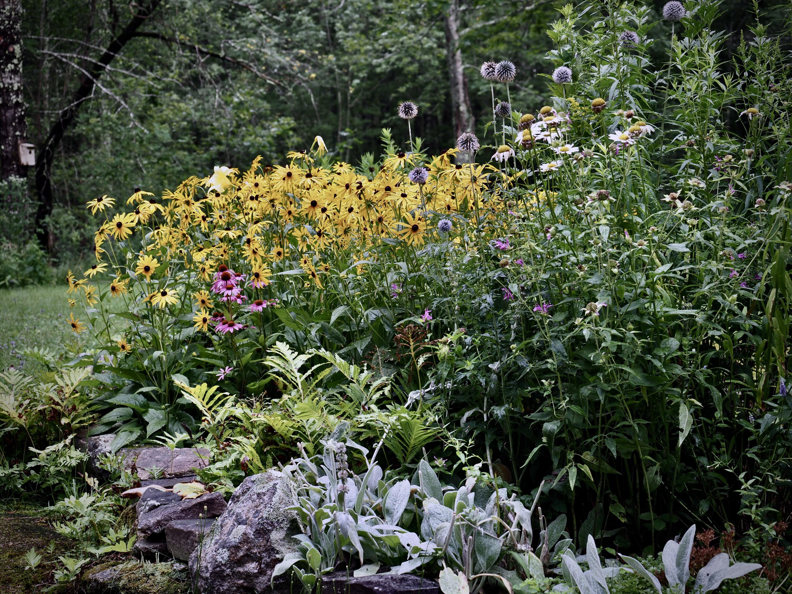 348 Bald Head Road Arrowsic, ME 04530 - Photo 66 of 74 P8040339