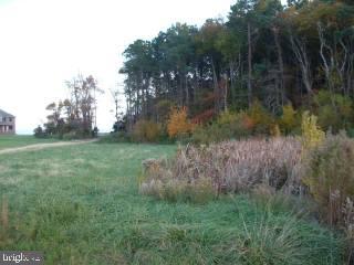 0 Carry Back Road Snow Hill, MD 21863 - Photo 1 of 3 Gallery Image 1