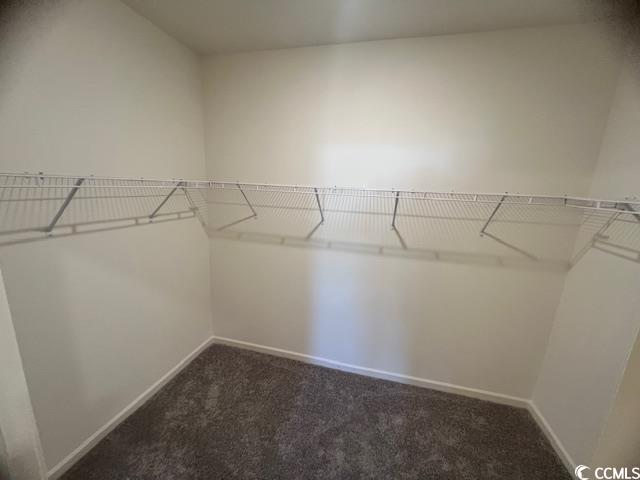 113 Covey Rise Drive Aynor, SC 29511 - Photo 10 of 10