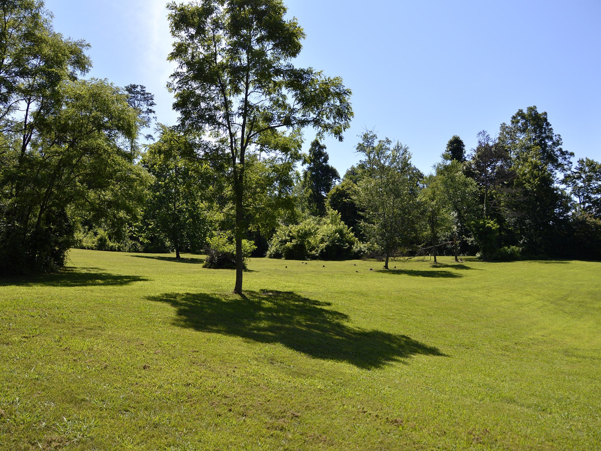244 Sallings Road Luttrell, TN 37779 - Photo 19 of 19 a view of an outdoor space and swimming pool