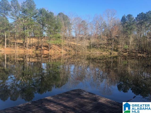 0 Shady Point Road, Unit 18 18 & 19 Locust Fork, AL 35097 - Photo 4 of 26